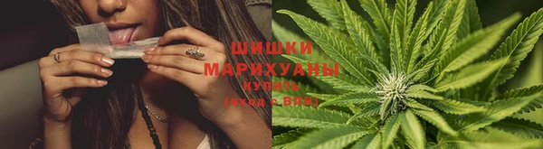 spice Абаза