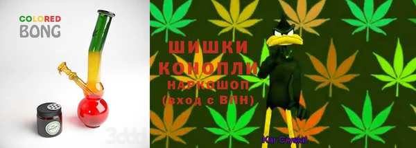 spice Абаза