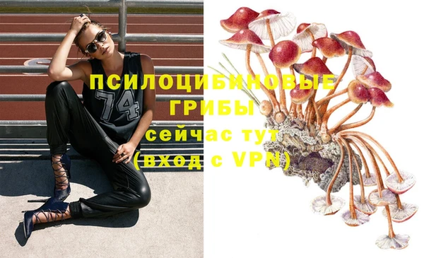 синтетический гашиш Алексеевка