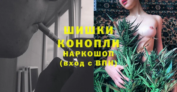 spice Абаза