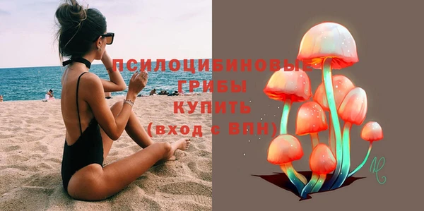 твердый Михайловск