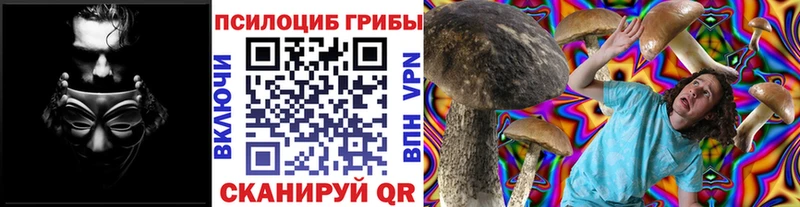 Галлюциногенные грибы Magic Shrooms  Кострома 